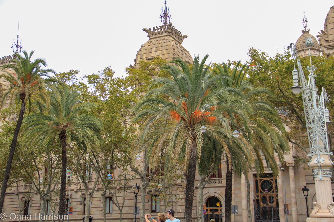 Blog 557 2016 Spain-557 – OANA TRAVEL blog